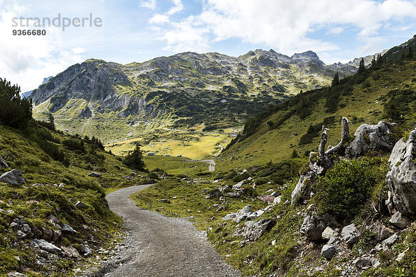 Österreich  Vorarlberg  Lechtaler Alpen  Wanderweg