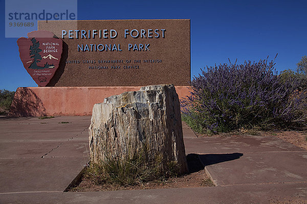 Nationalpark Vereinigte Staaten von Amerika USA Zeichen Wald frontal Arizona Baumstumpf Signal