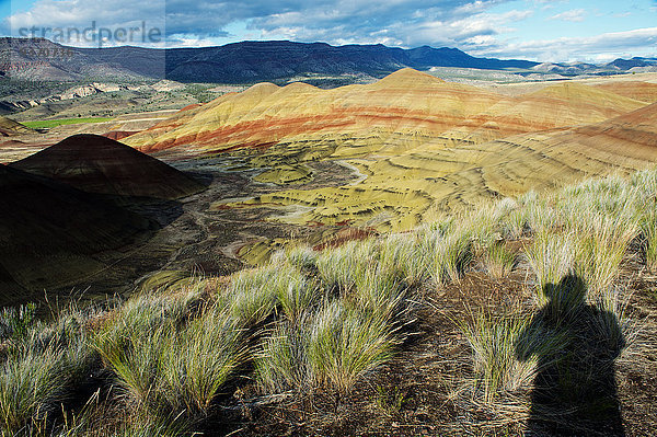 Biegung Biegungen Kurve Kurven gewölbt Bogen gebogen Vereinigte Staaten von Amerika USA Landschaft Hügel Schatten Wüste streichen streicht streichend anstreichen anstreichend fotografieren Fotograf Oregon