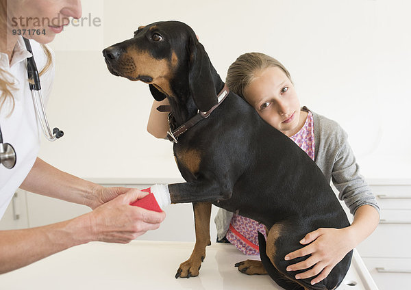Tierärztin behandelt Hund in der Praxis