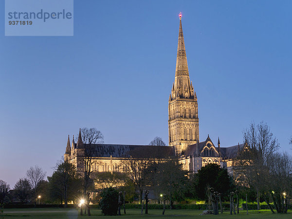 Salisbury Cathedral am Abend  Wiltshire  England  Großbritannien