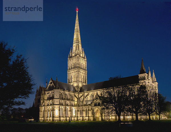 Salisbury Cathedral am Abend  Wiltshire  England  Großbritannien