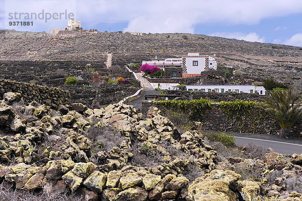 Villa mit Garten  Lanzarote  Kanaren  Spanien  Europa