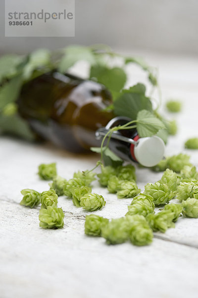 Bierflasche und Hopfen auf einem Holztisch