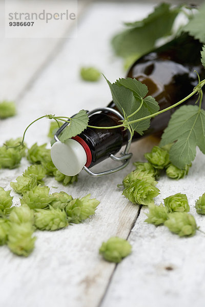 Bierflasche und Hopfen auf einem Holztisch