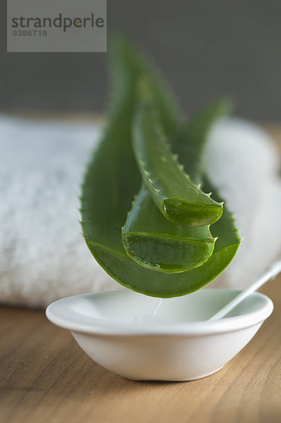 Aloe Vera-Blatt  Schälchen und Handtuch