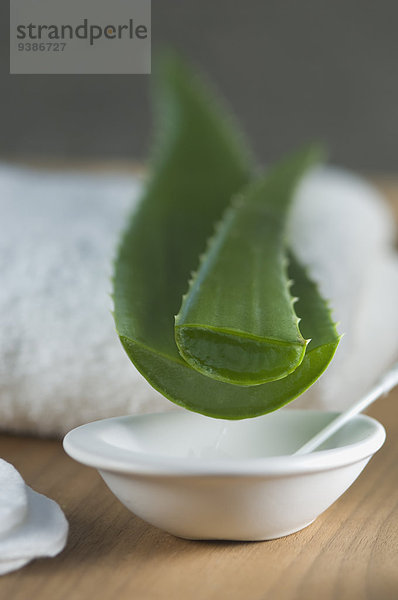 Aloe Vera-Blatt  Schälchen und Handtuch