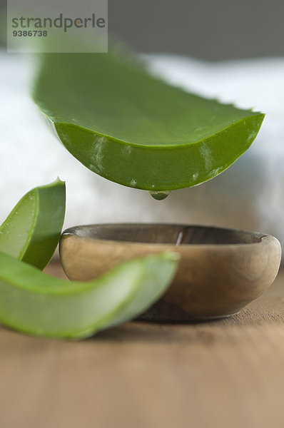 Aloe Vera-Blatt  Schälchen und Handtuch