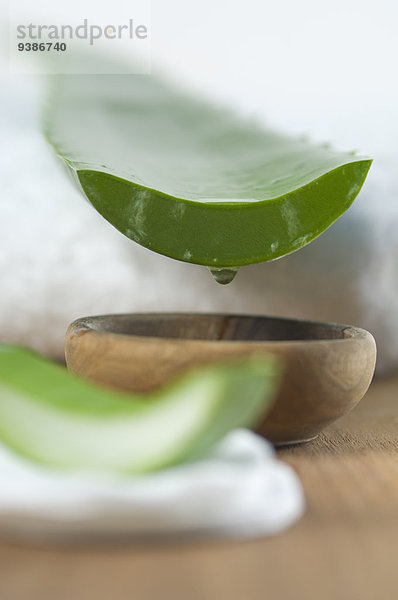 Aloe Vera-Blatt  Schälchen und Handtuch