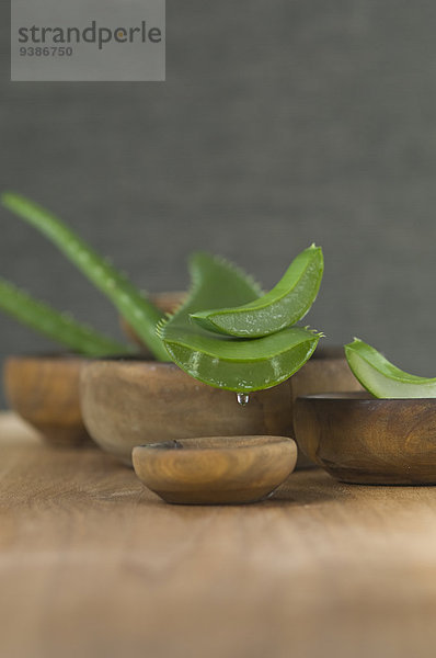 Aloe Vera-Blatt und Stückchen