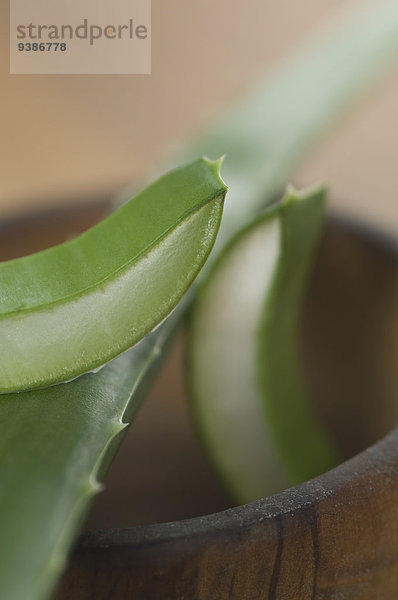 Aloe Vera-Stückchen in einer Holzschale