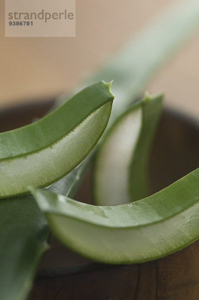 Aloe Vera-Stückchen in einer Holzschale