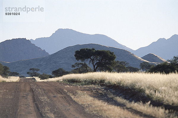 Baum Silhouette Fernverkehrsstraße Schotterstrasse Namibia Gegenlicht Afrika