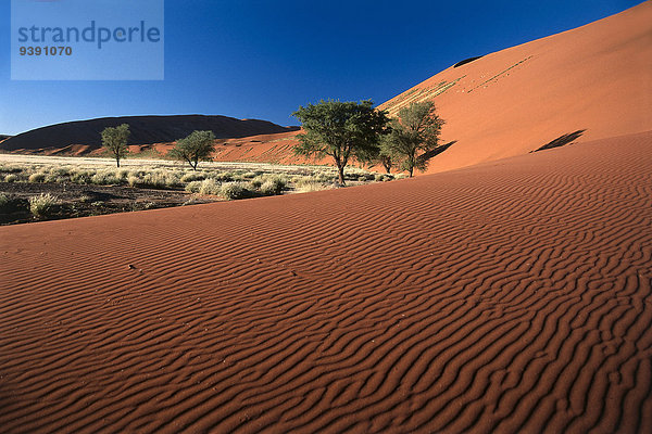 Wüste Sand Düne Namibia Namib Afrika Sossusvlei