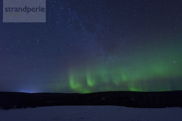 Vereinigte Staaten von Amerika USA sternförmig Winter Amerika Nacht Himmel Polarlicht Alaska Fairbanks Aurora borealis