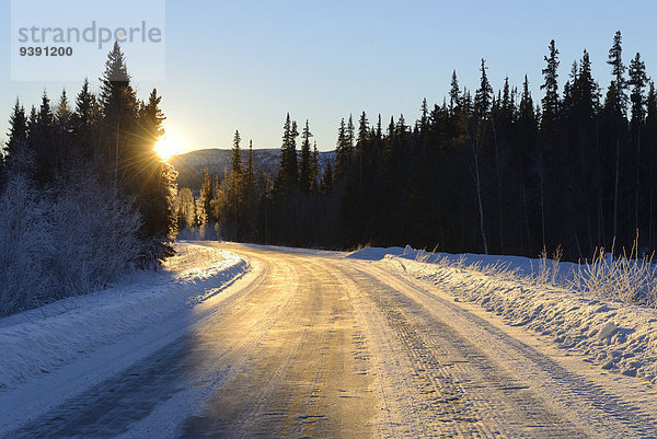 Vereinigte Staaten von Amerika USA Winter Sonnenstrahl Amerika Landschaft Bundesstraße Alaska Fairbanks Schnee Sonne