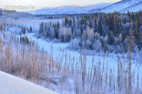 Vereinigte Staaten von Amerika USA Winter Amerika Landschaft Goldrausch Alaska Fairbanks
