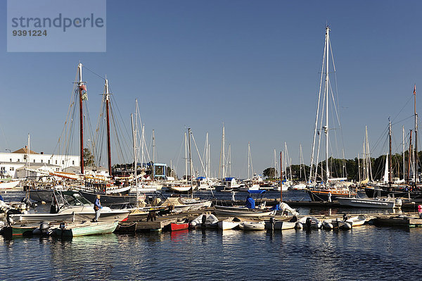 Vereinigte Staaten von Amerika USA Hafen Ostküste Amerika Küste Stadt Boot Jachthafen Neuengland Camden Maine