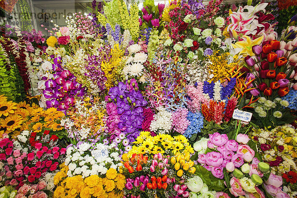 Blume kaufen Laden Markt Asien Chiang Mai Blumenladen Thailand