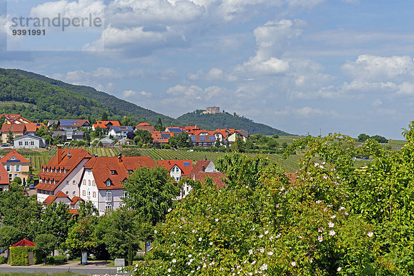 Panorama Landschaftlich schön landschaftlich reizvoll Sehenswürdigkeit Baustelle Europa Palast Schloß Schlösser Baum Landschaft Gebäude Architektur Pflanze Deutschland Hambacher Schloss Rheinland-Pfalz Tourismus