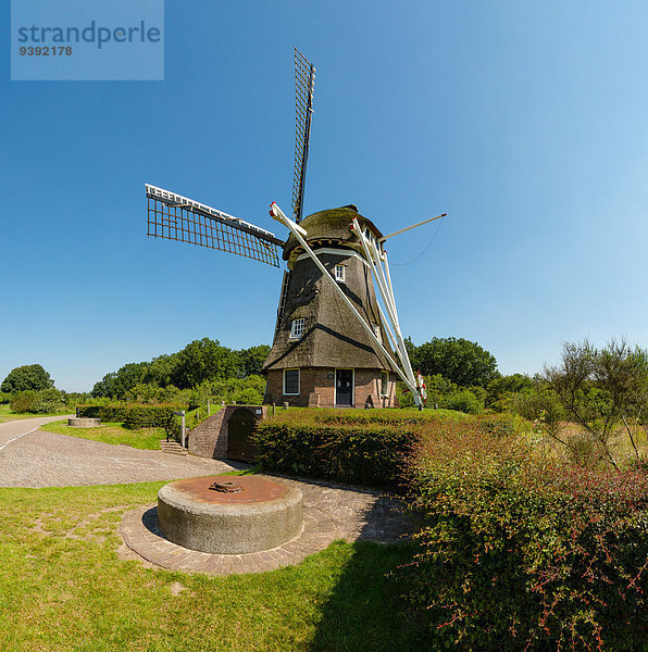 Windturbine Windrad Windräder Europa Sommer Baum Feld Wiese Niederlande Drenthe