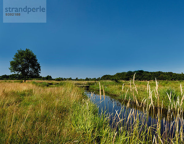 Wasser Europa Sommer Landschaft Bach Feld Wiese Niederlande Drenthe