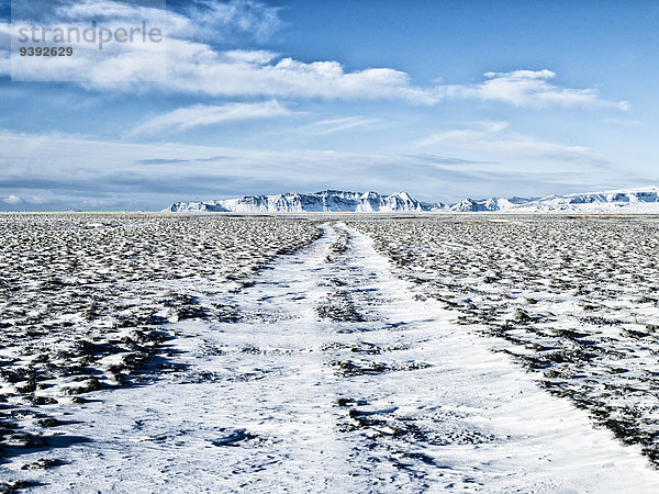 Landschaftlich schön landschaftlich reizvoll Europa Winter Landschaft Insel Vík í Mýrdal Ringautobahn Island Nordeuropa Schnee