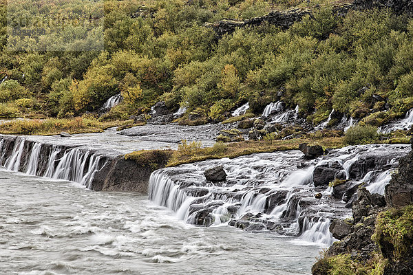 Wasser Europa Steilküste Ereignis Herbst Wasserfall Schlucht Hvítá Hraunfossar Island Stimmung
