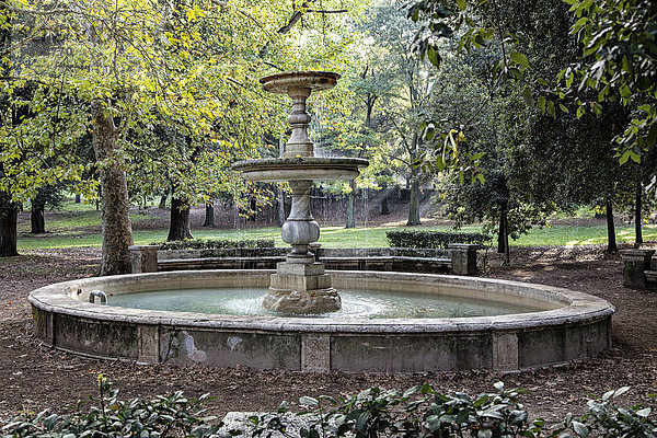 Rom Hauptstadt Europa Ziehbrunnen Brunnen Italien Morgenstimmung