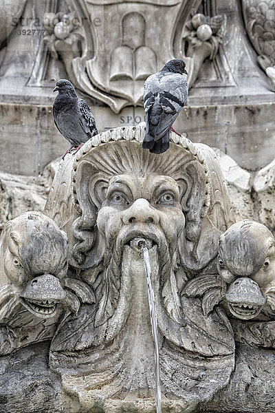 Kuppel Wasser Rom Hauptstadt Europa Ziehbrunnen Brunnen Antiquität Platz Pantheon Basilika Kuppelgewölbe Italien