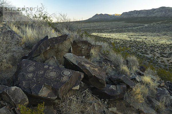 Vereinigte Staaten von Amerika USA Amerika Landschaft antik New Mexico Petroglyphe