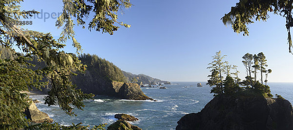 Vereinigte Staaten von Amerika USA State Park Provincial Park Panorama Landschaftlich schön landschaftlich reizvoll Amerika Landschaft Ozean Küste niemand Natur ungestüm Pazifischer Ozean Pazifik Stiller Ozean Großer Ozean Gewölbe Meer Oregon Westküste