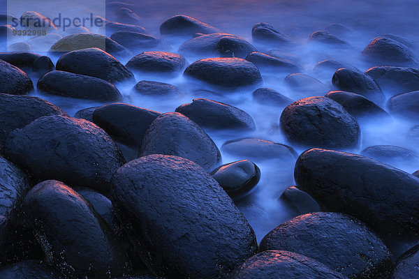 Felsbrocken Muster Wasser Fortbewegung Stein Strand Abend Sonnenuntergang Großbritannien Steilküste Küste Meer schwarz Abstraktion Hintergrund blau pink Abenddämmerung England Northumberland Schnittmuster rund Dämmerung