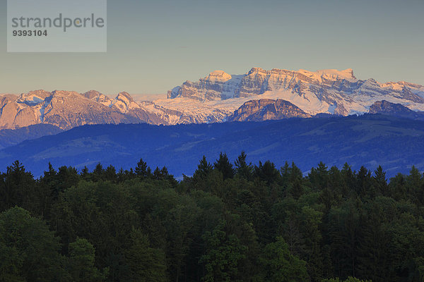 blauer Himmel wolkenloser Himmel wolkenlos Panorama Berg Abend Sonnenuntergang Wald Natur Holz Alpen blau Sonnenlicht Westalpen Bergmassiv schweizerisch Schweiz Bergpanorama Schweizer Alpen
