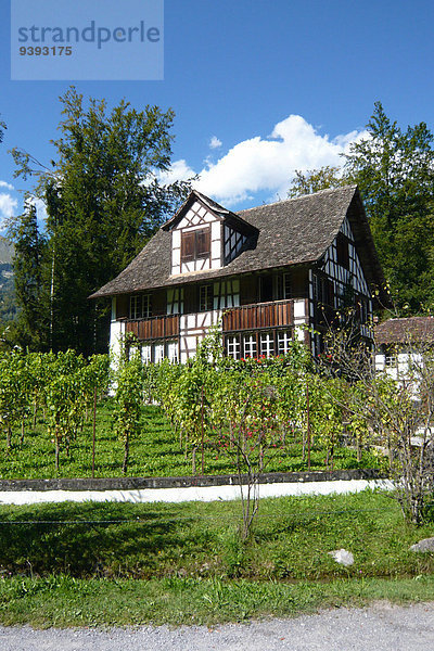 Bauernhaus Wein Geschichte Museum Garten Fachwerkhaus Berner Oberland Bauernhofmuseum Schweiz