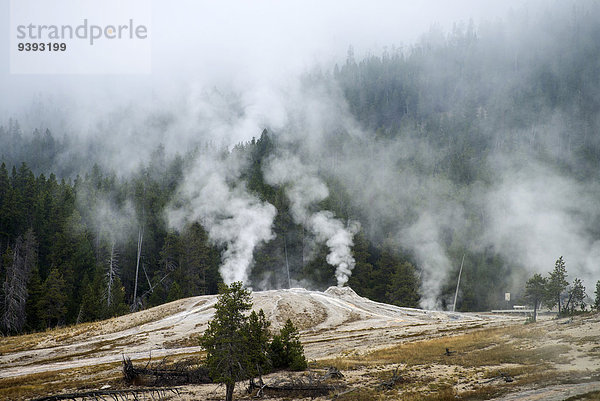 Vereinigte Staaten von Amerika USA Nationalpark Amerika Geysir Nebel Wärme Yellowstone Nationalpark Wyoming