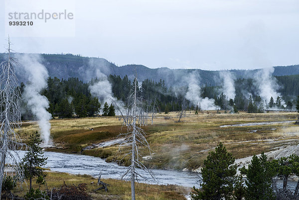 Vereinigte Staaten von Amerika USA Nationalpark Amerika Geysir Wärme Yellowstone Nationalpark Wyoming