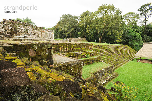 Hütte Skulptur Ausgrabungsstätte Natur Kunstwerk Mittelamerika UNESCO-Welterbe Akropolis Guatemala Maya