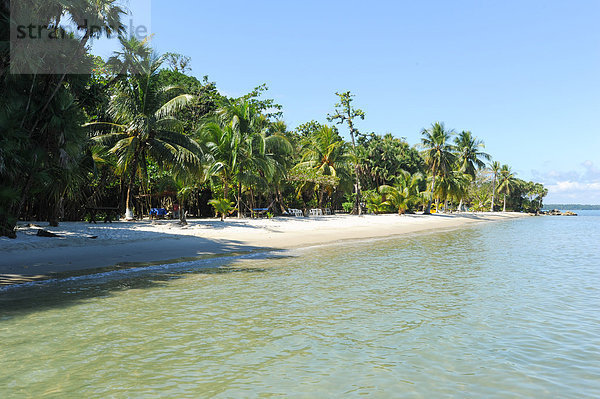 Landschaftlich schön landschaftlich reizvoll Palme Strand Baum Ozean Boot Natur Sand Mittelamerika Guatemala Playa Blanca