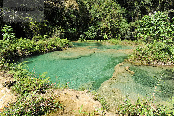 Nationalpark Außenaufnahme Landschaftlich schön landschaftlich reizvoll Wasser Landschaft Reise Baum Wald Natur Fluss Strömung Wasserfall Mittelamerika Entdeckung Guatemala freie Natur