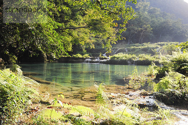 Nationalpark Außenaufnahme Landschaftlich schön landschaftlich reizvoll Wasser Landschaft Reise Baum Wald Natur Fluss Strömung Wasserfall Mittelamerika Entdeckung Guatemala freie Natur