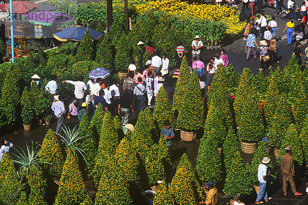 Blumenmarkt Vietnam