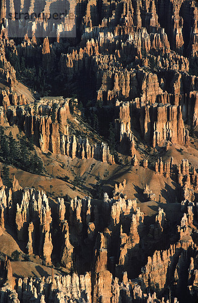 Nationalpark Bryce Canyon Nationalpark Utah