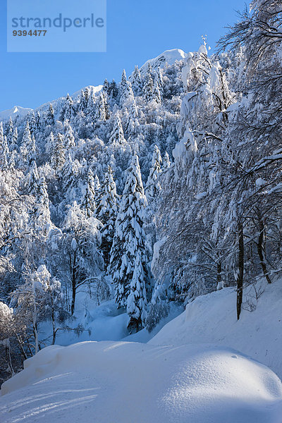 Europa Winter Schnee Schweiz