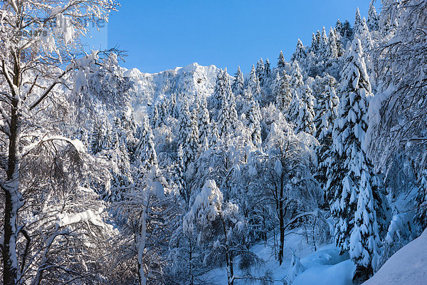 Europa Winter Schnee Schweiz