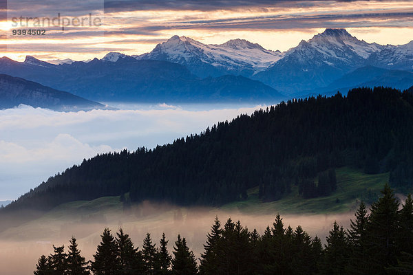 Naturschutzgebiet Europa Ansicht Berner Oberland Kanton Bern Schweiz Morgenstimmung