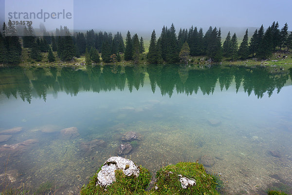 Naturschutzgebiet Europa Spiegelung See Nebel Berner Oberland Kanton Bern Schweiz