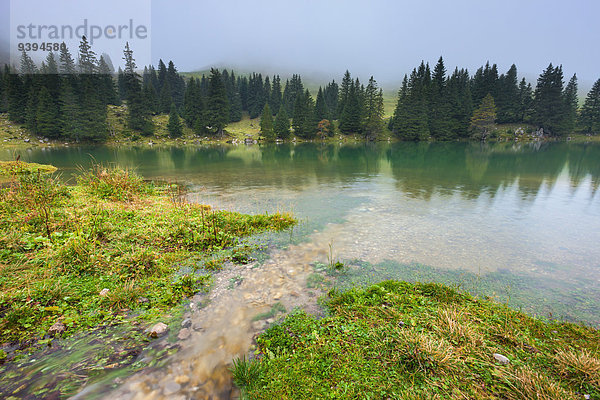 Naturschutzgebiet Europa See Nebel Bach Berner Oberland Kanton Bern Schweiz