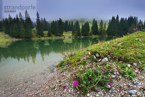 Naturschutzgebiet Europa See Nebel Berner Oberland Kanton Bern Schweiz