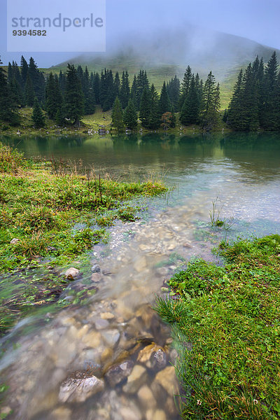 Naturschutzgebiet Europa See Nebel Bach Berner Oberland Kanton Bern Schweiz